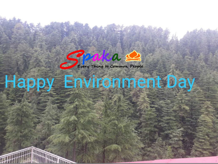 World Environment Day : View of Shimla