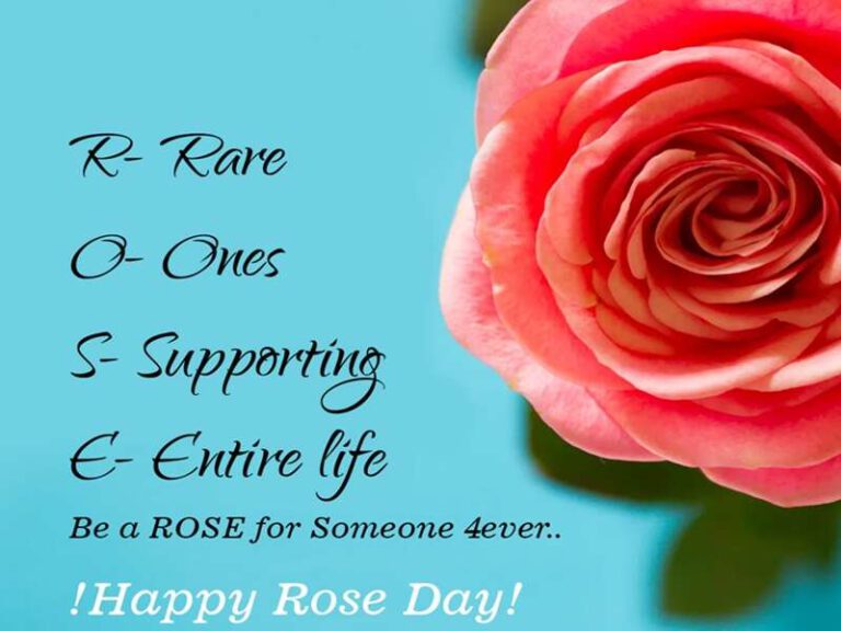 Happy Rose Day 2021 : status to share with your loved ones on first day of Valentine’s Week
