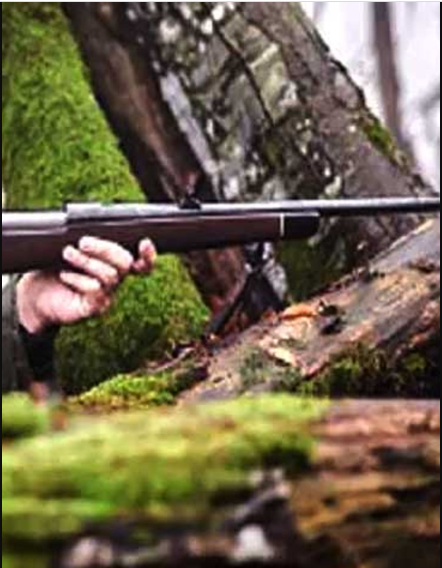 हिमाचल : जंगल में शिकार करने गए व्यक्ति की गोली लगने से मौत………..
