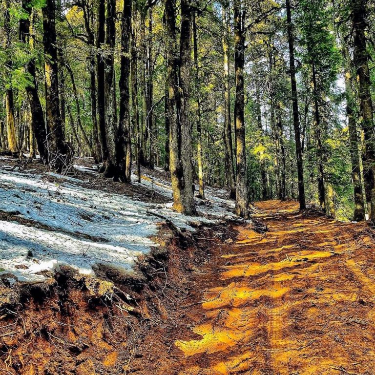 पर्वतारोहण एवं घुमक्कड़ी के शौकीनों के लिए पसंदीदा गंतव्य बना हिमाचल