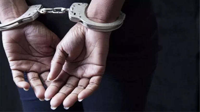 हिमाचल पुलिस ने इतने ग्राम स्मैक सहित गिरफ्तार की महिला…………