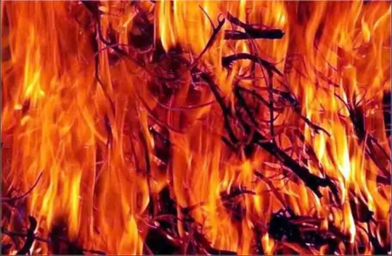 दर्दनाक हादसा : झोंपड़ी में लगी आग, पति के सामने जिंदा जल गई पत्नी