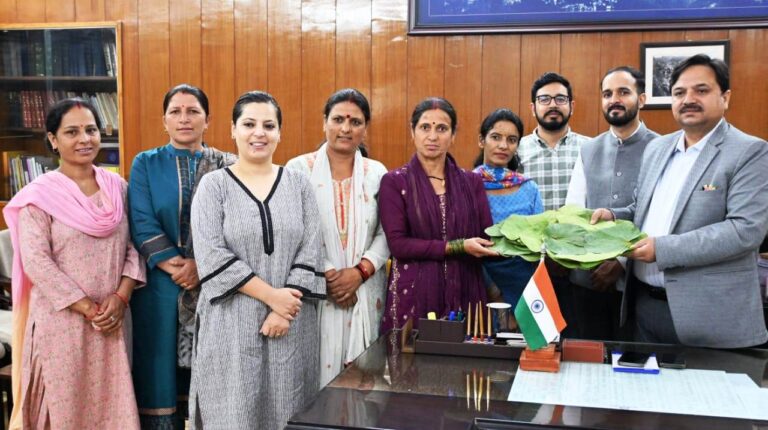 तारादेवी मंदिर में टौर के पत्तल में मिलेगा अब लंगर, सक्षम कलस्टर लेवल फेडरेशन को पांच हजार पत्तल बनाने का दिया आर्डर