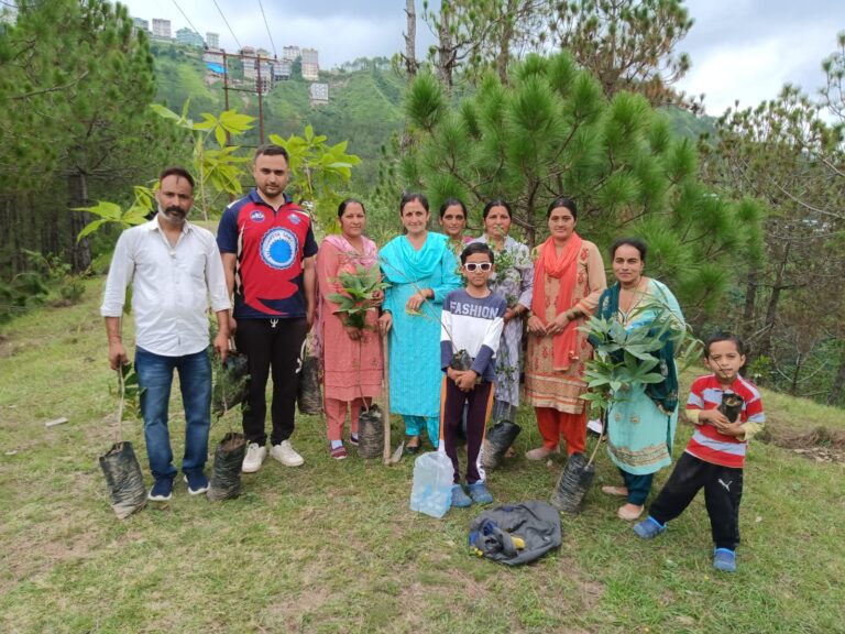 युवक मंडल मैहली के अथक प्रयासों से मैहली के जागरूक बाशिंदों ने उठाया पर्यावरण को बचाने का बीड़ा